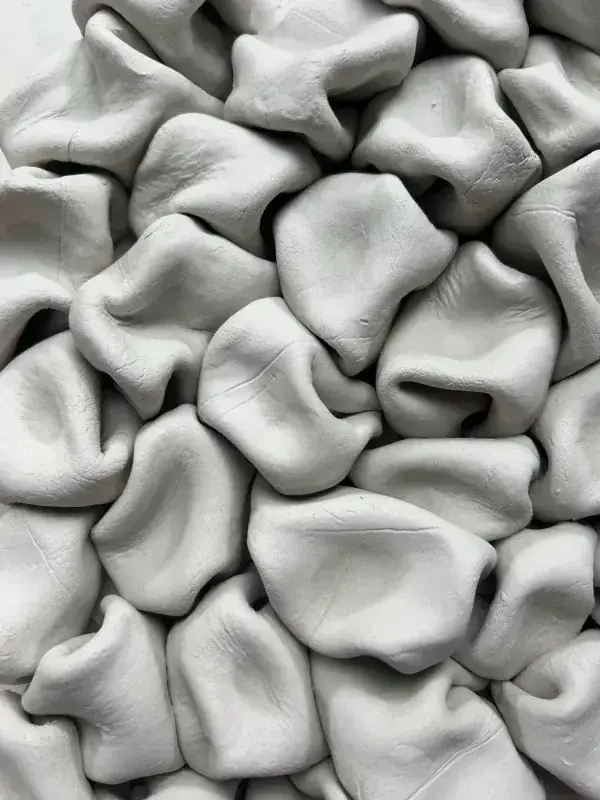 Ball Clay